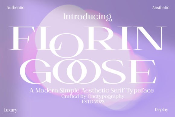 Florin Goose: A Modern Serif Display Font for Thoughtful Web Design
